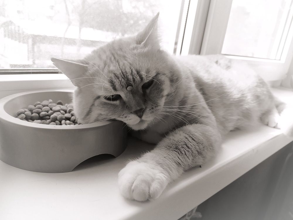 Photograph by Ирина Половцева