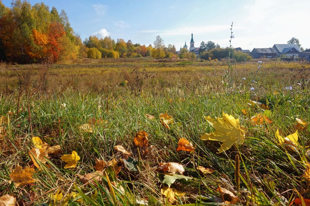 Photograph by Светлана Иванова