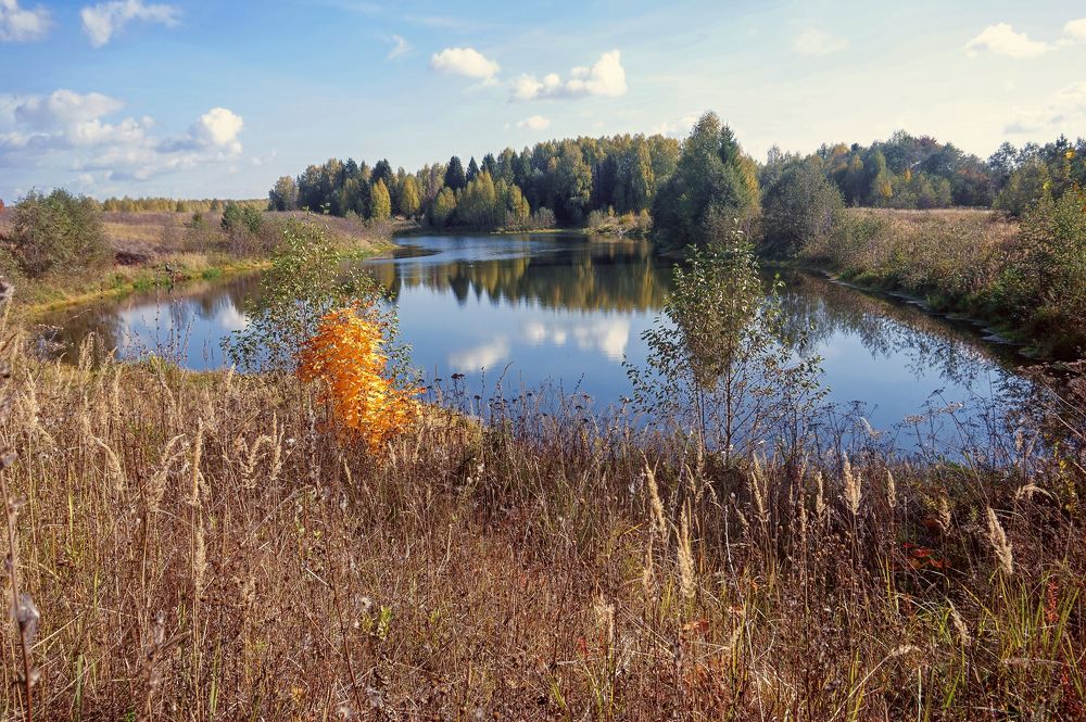 Photograph by Светлана Иванова