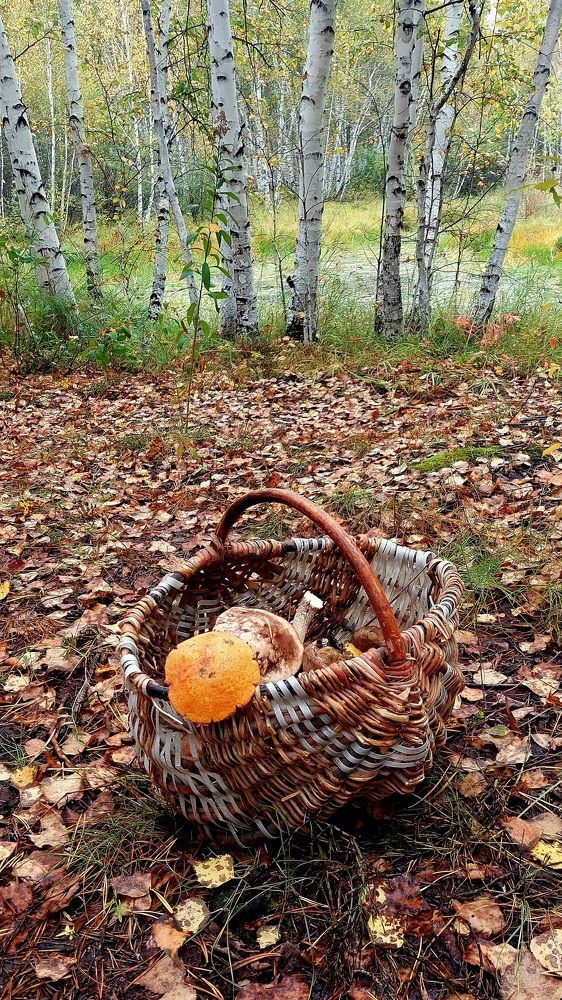 Photograph by Анастасия