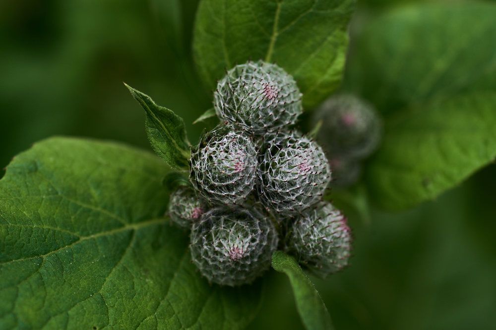 Photograph by Дмитрий Солодухин