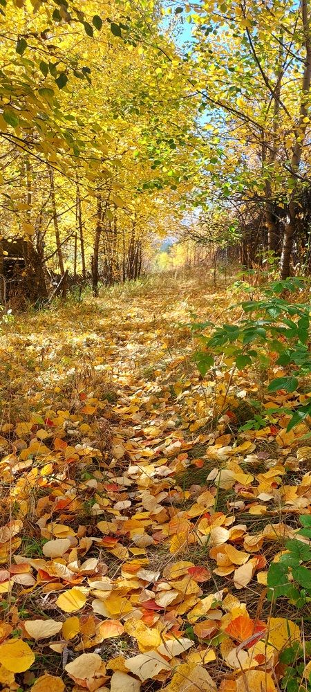 Photograph by Анастасия