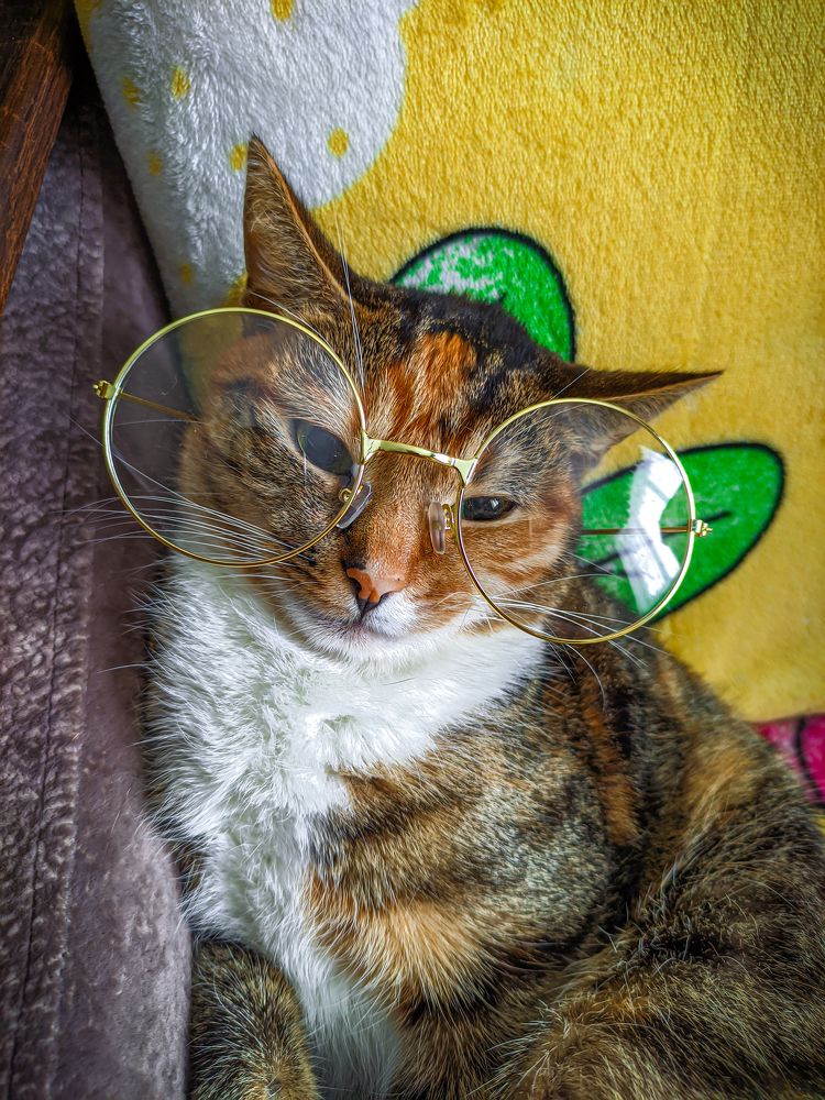 Фотография автора Александр Хухлов