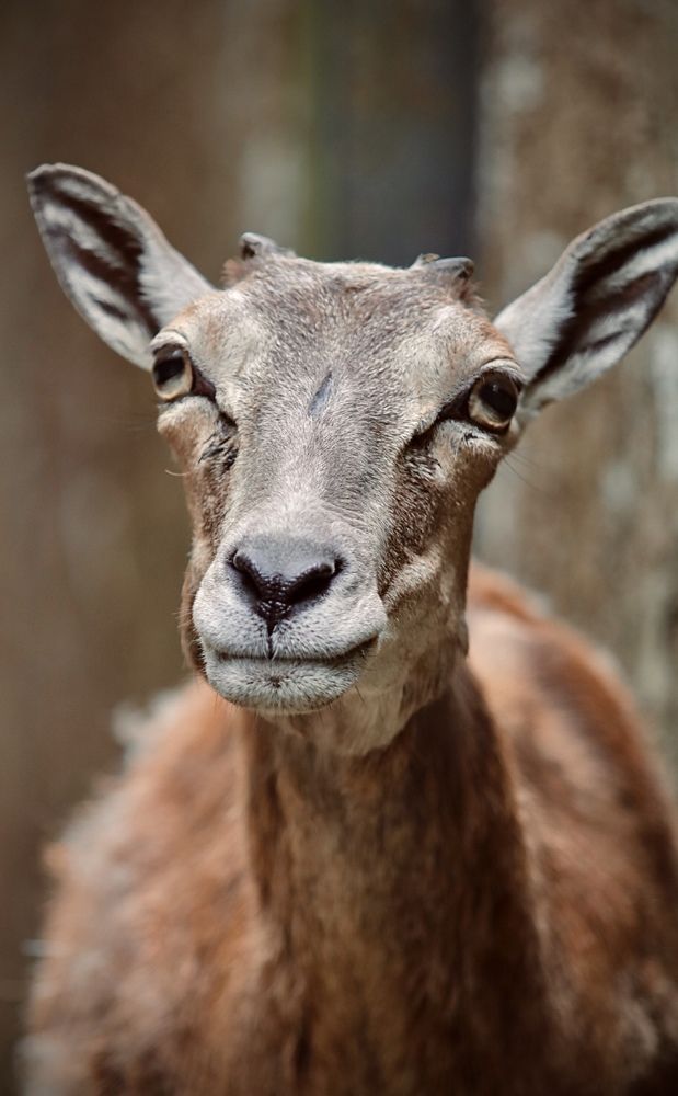 Photograph by Елена Ковалева