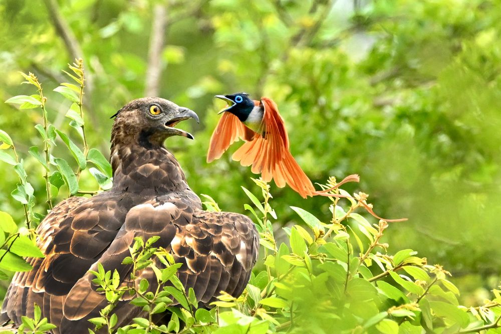 Photograph by Emil Diaz