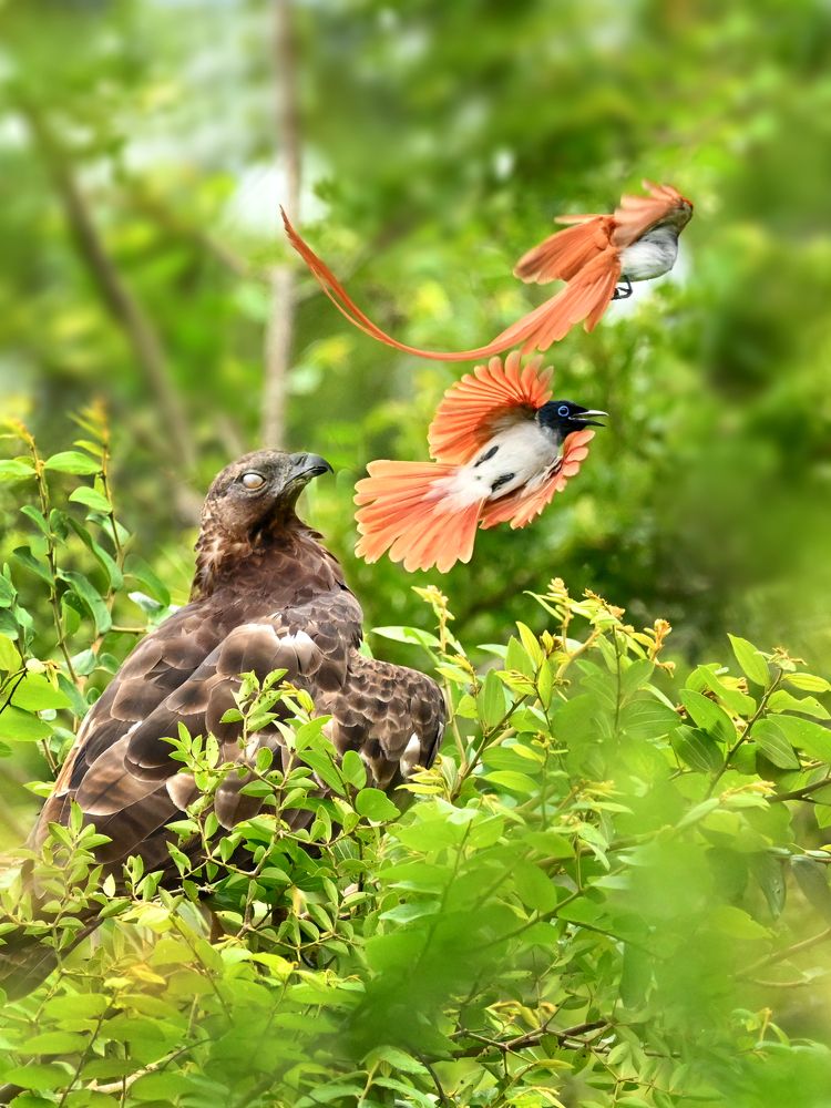 Photograph by Emil Diaz