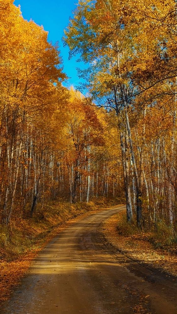 Photograph by Дарья