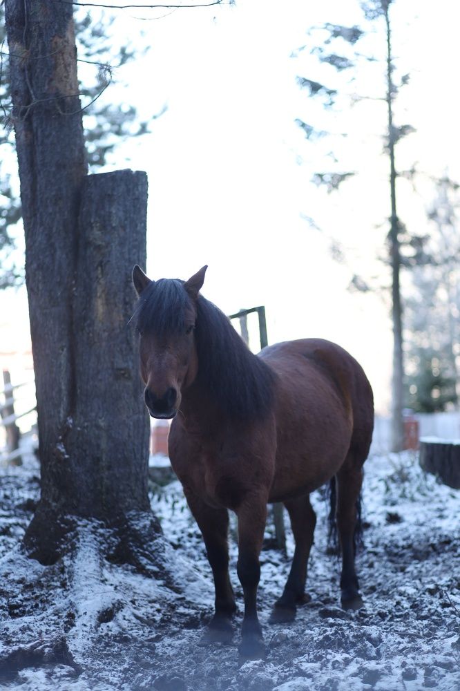 Photograph by Бальзирова Наталья