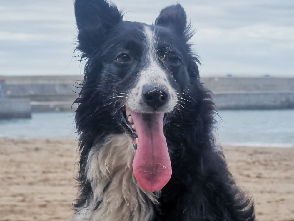 Photograph by Lander Veiga