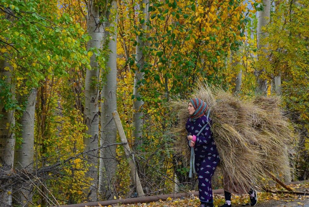 Photograph by Инна Гаджиева