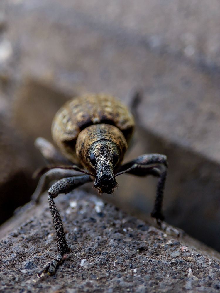 Photograph by Сергей