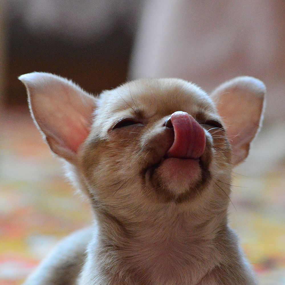 Вкуснятина.