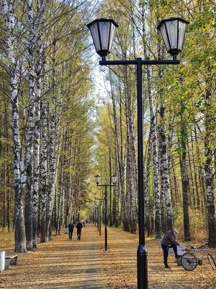 Photograph by Сергей