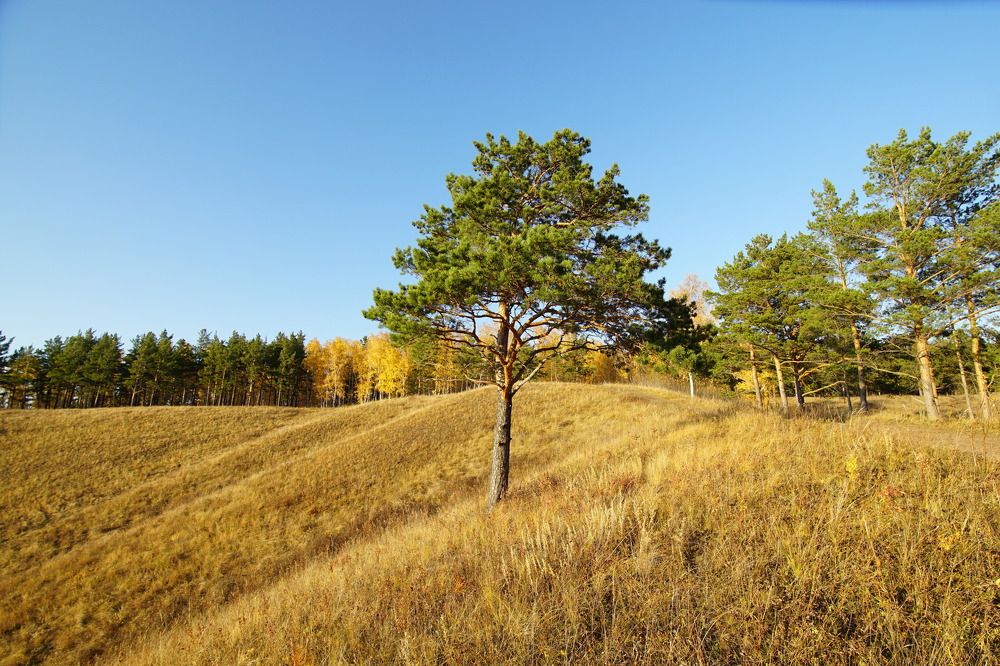 Photograph by Владимир