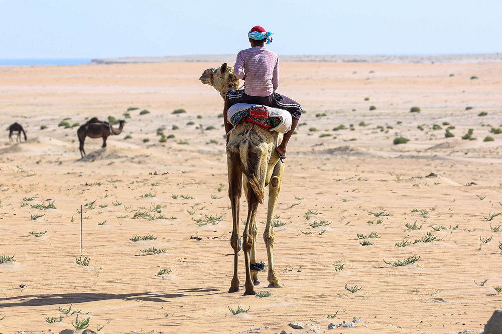 Photograph by Anoop Moidutty