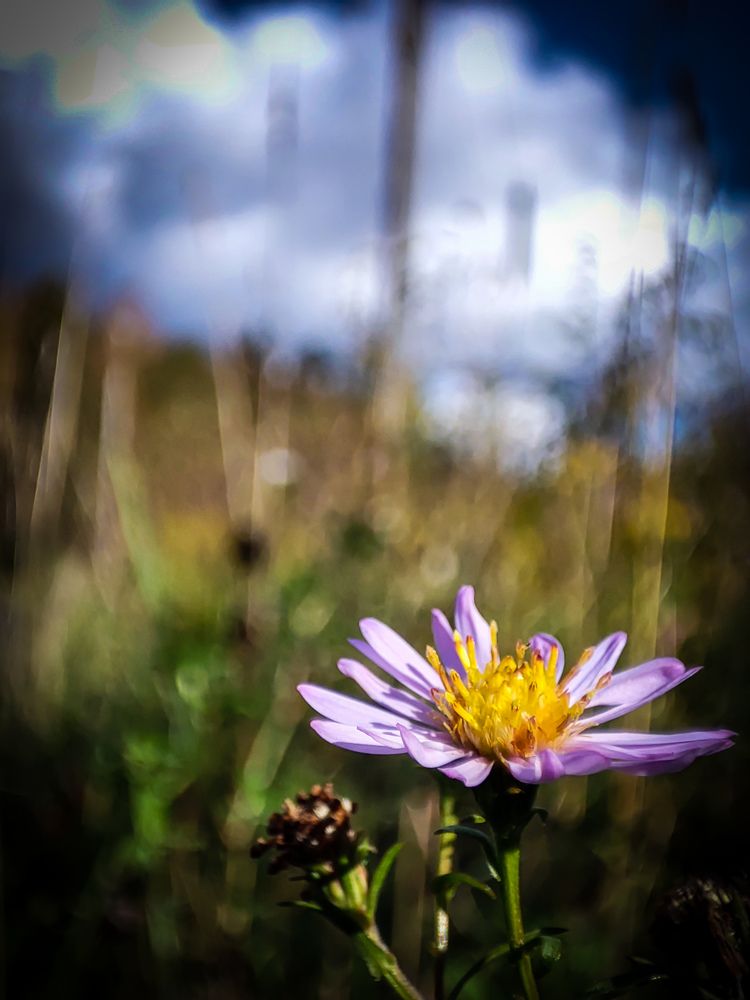 Photograph by Сергей