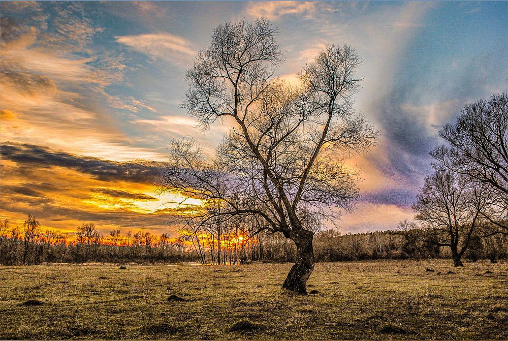 Photograph by 