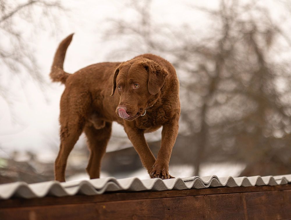 Photograph by Евгения Зайцева