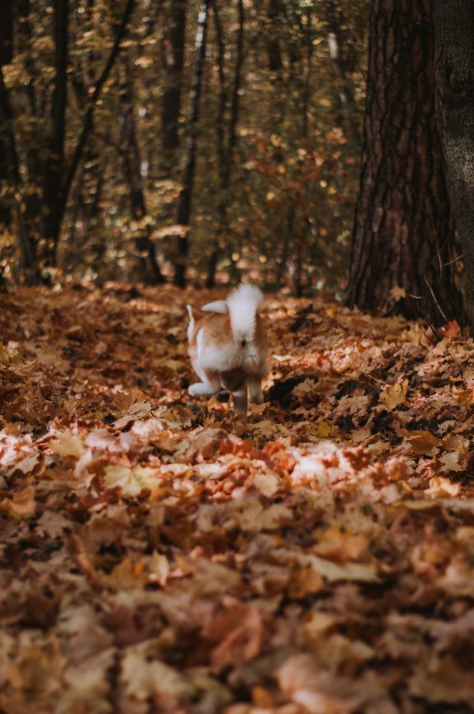 Photograph by Pavel Piskunov