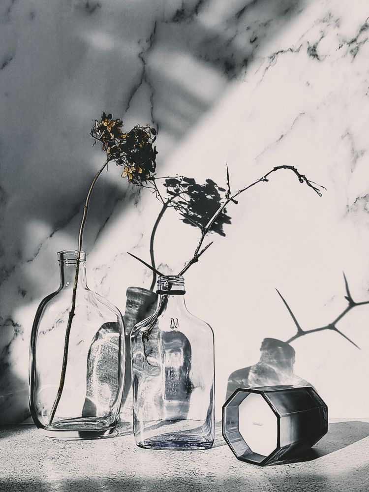 Фотография автора Светлана Алексеева