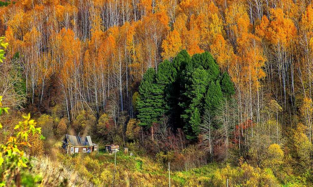 Photograph by Сергей