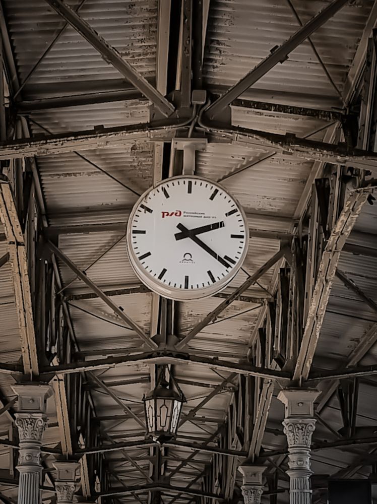 Фотография автора Светлана Алексеева