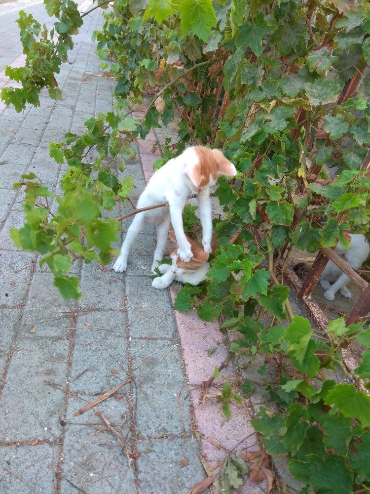 Photograph by Елена Симонова