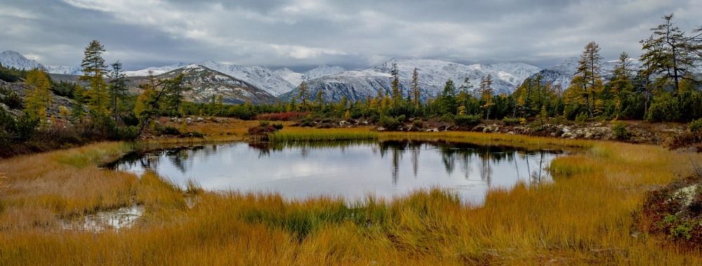 Между зимой и осенью