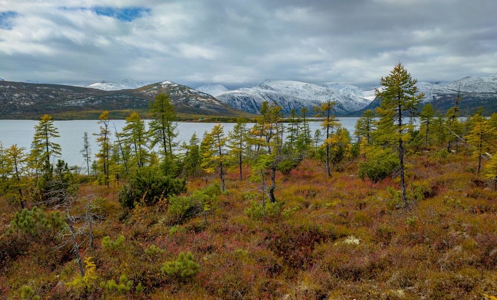 Фотография автора Александр Довганюк