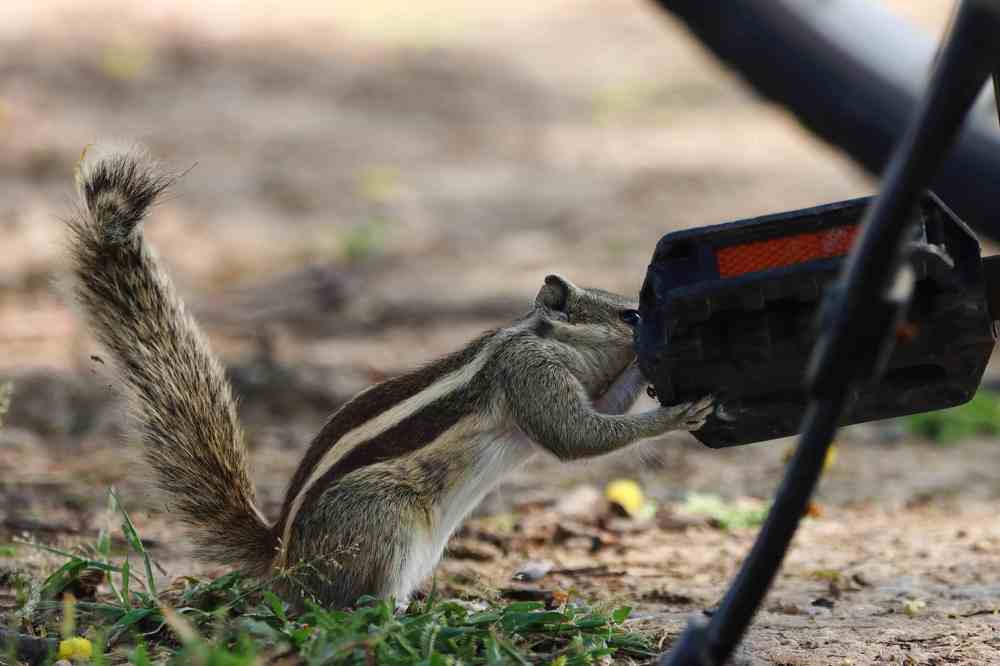 Telling secrets