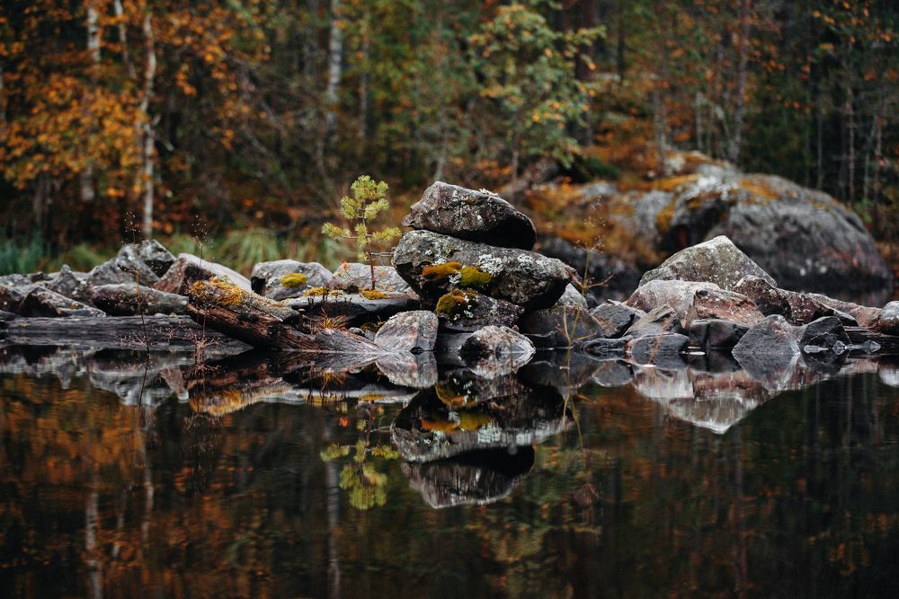 Photograph by Мария