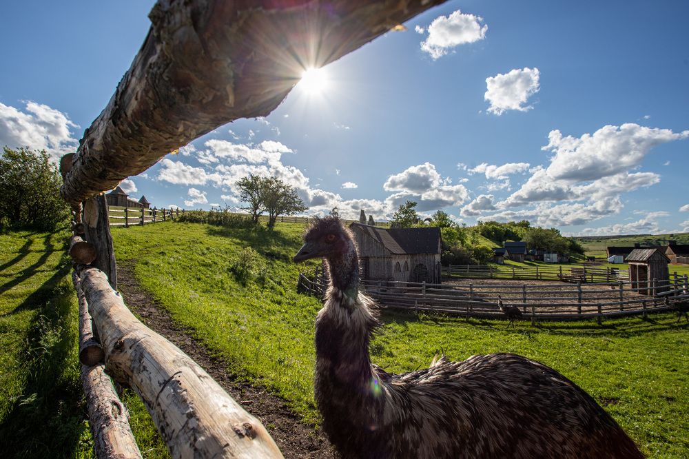 Photograph by Богдан Тарасов