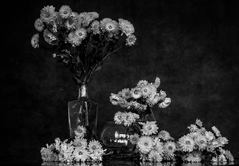 Photograph by Елена Куртеева