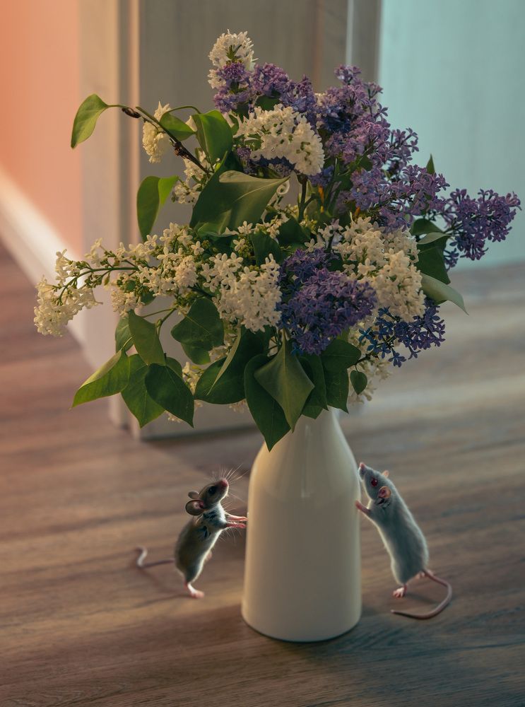 Photograph by Елена Ермакова