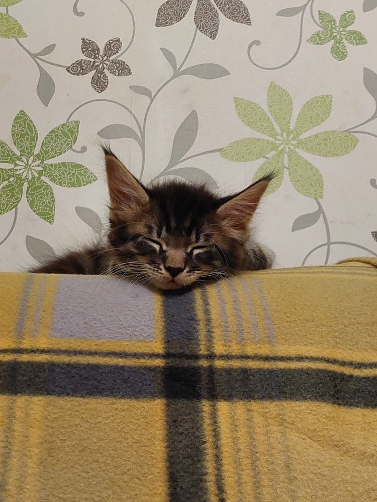 Photograph by Анастасия