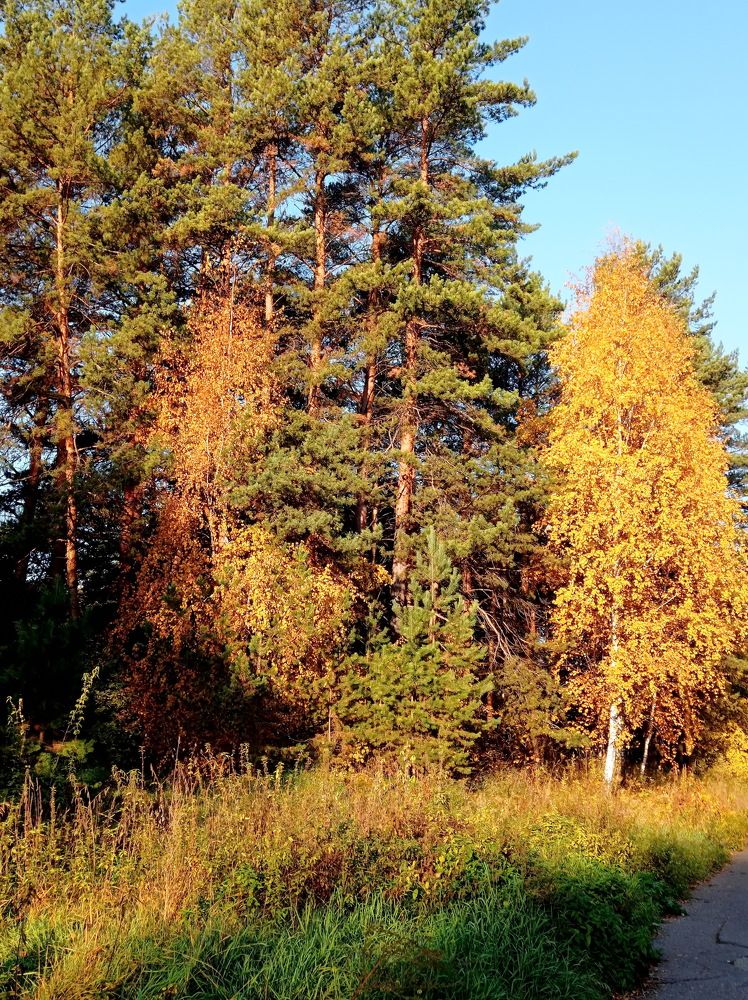 Photograph by НИНА АВЕРЬЯНОВА