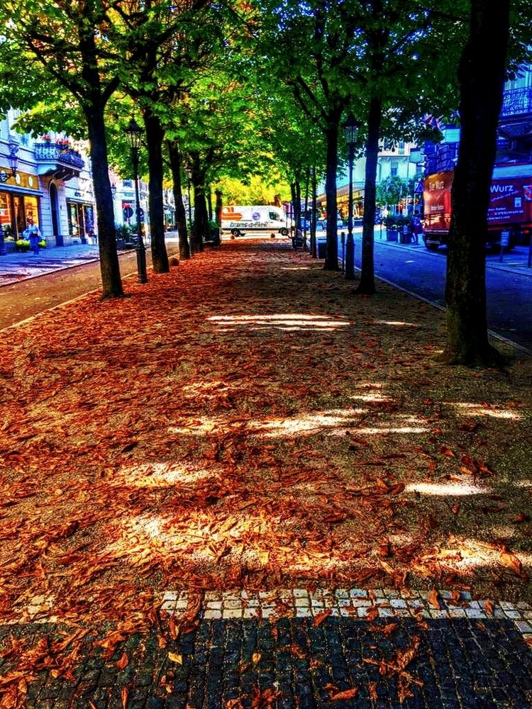 Photograph by Viviana García