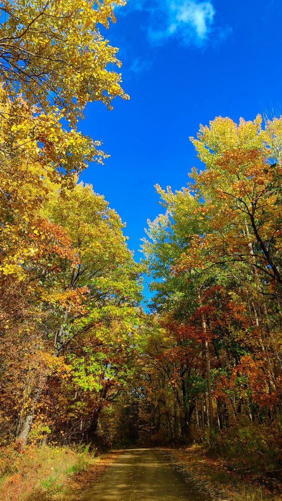 Photograph by Дарья