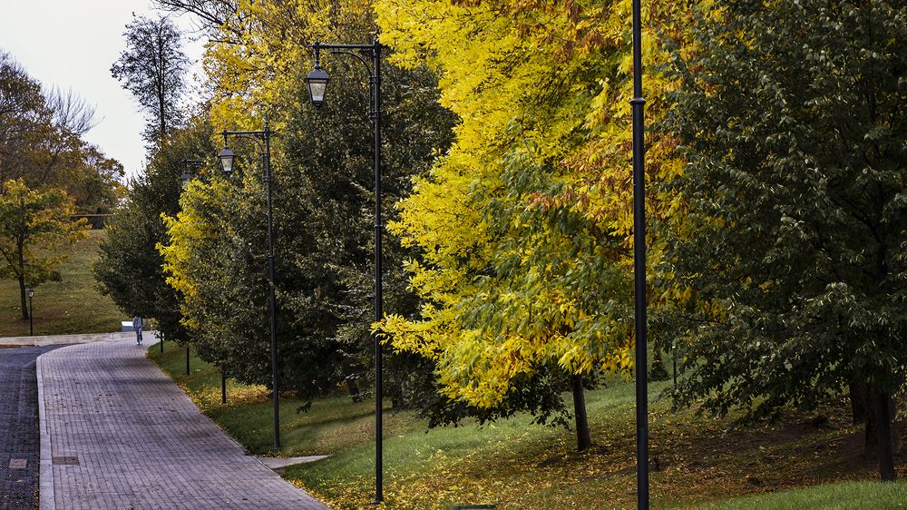 Photograph by Алексей Парамонов