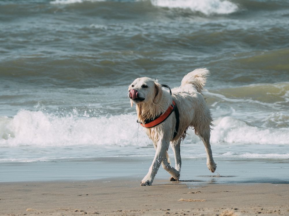 Photograph by Ирина Протченко