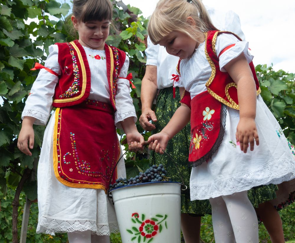 Photograph by Dragan Leles