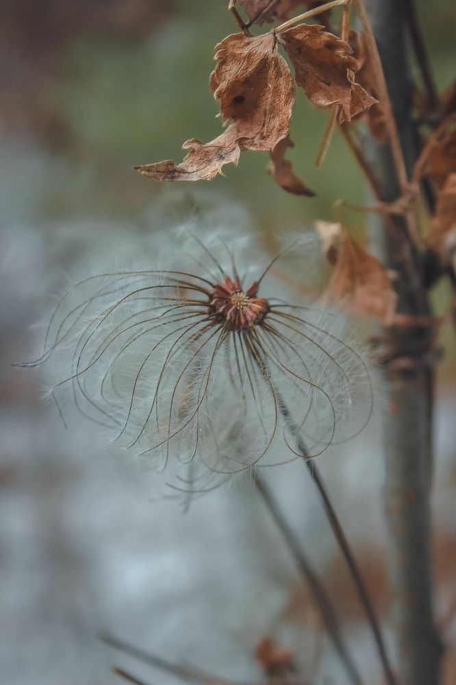 Photograph by Анастасия