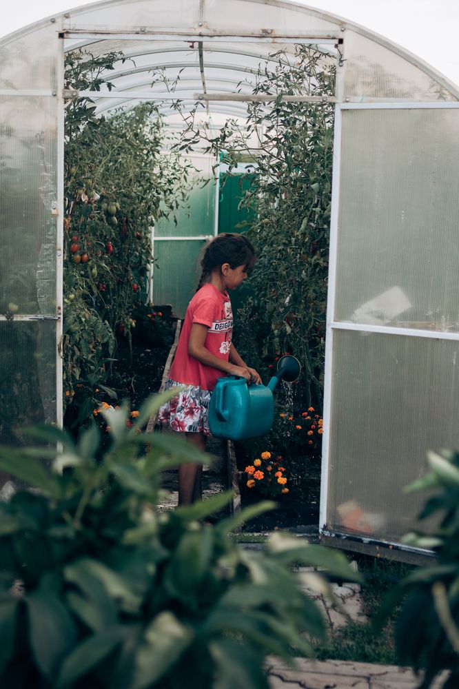 Photograph by Гузель Миникаева