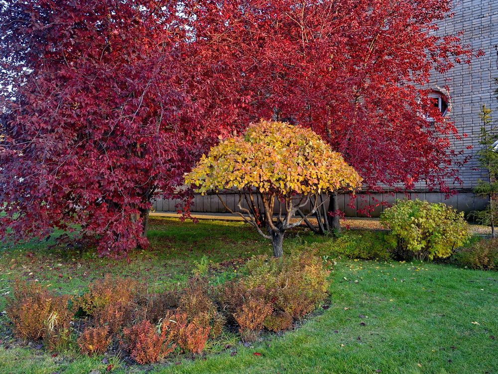 Photograph by Сергей Гребенников