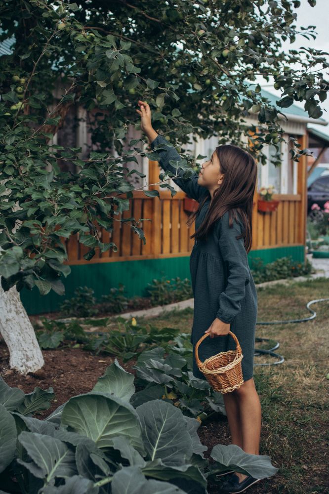 Photograph by Гузель Миникаева