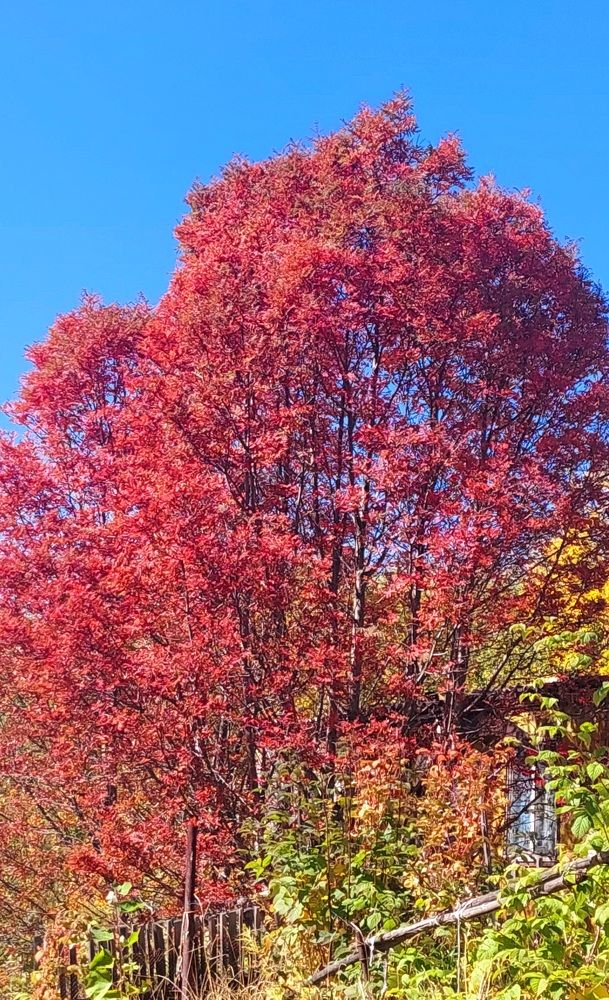 Photograph by Анастасия