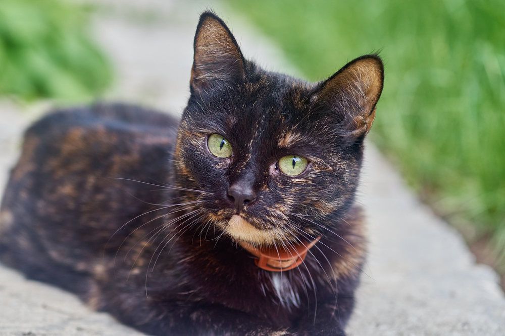 Photograph by Дмитрий Солодухин