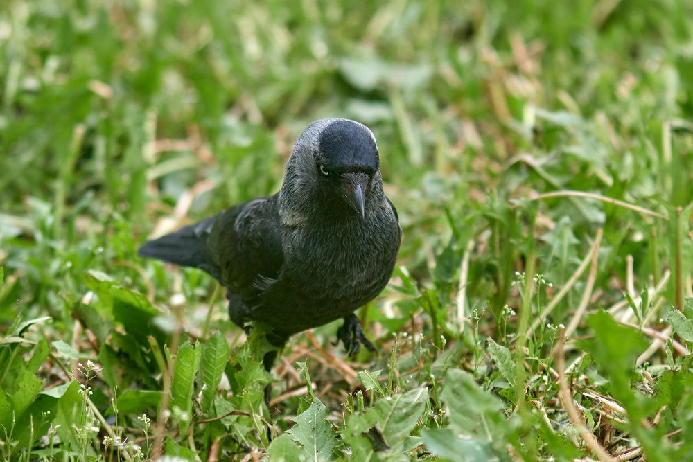 Photograph by Дмитрий Солодухин
