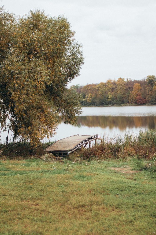 Photograph by Гузель Миникаева