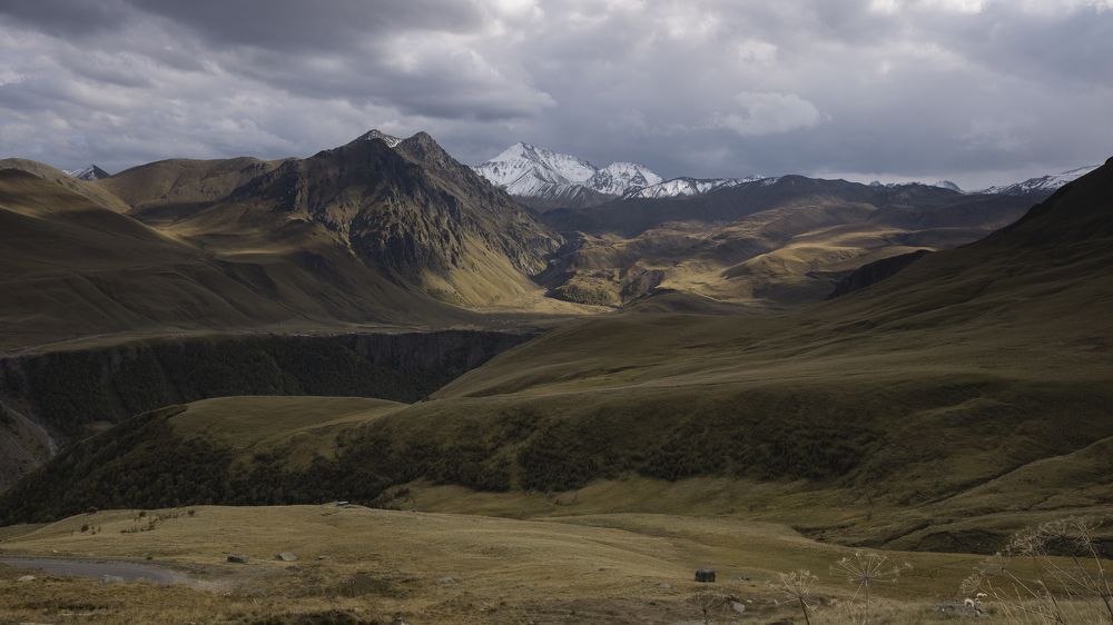 Photo #9658516
